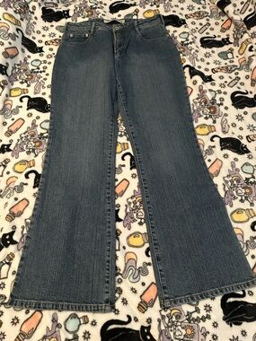 Express Women’s Flared Blue Jeans